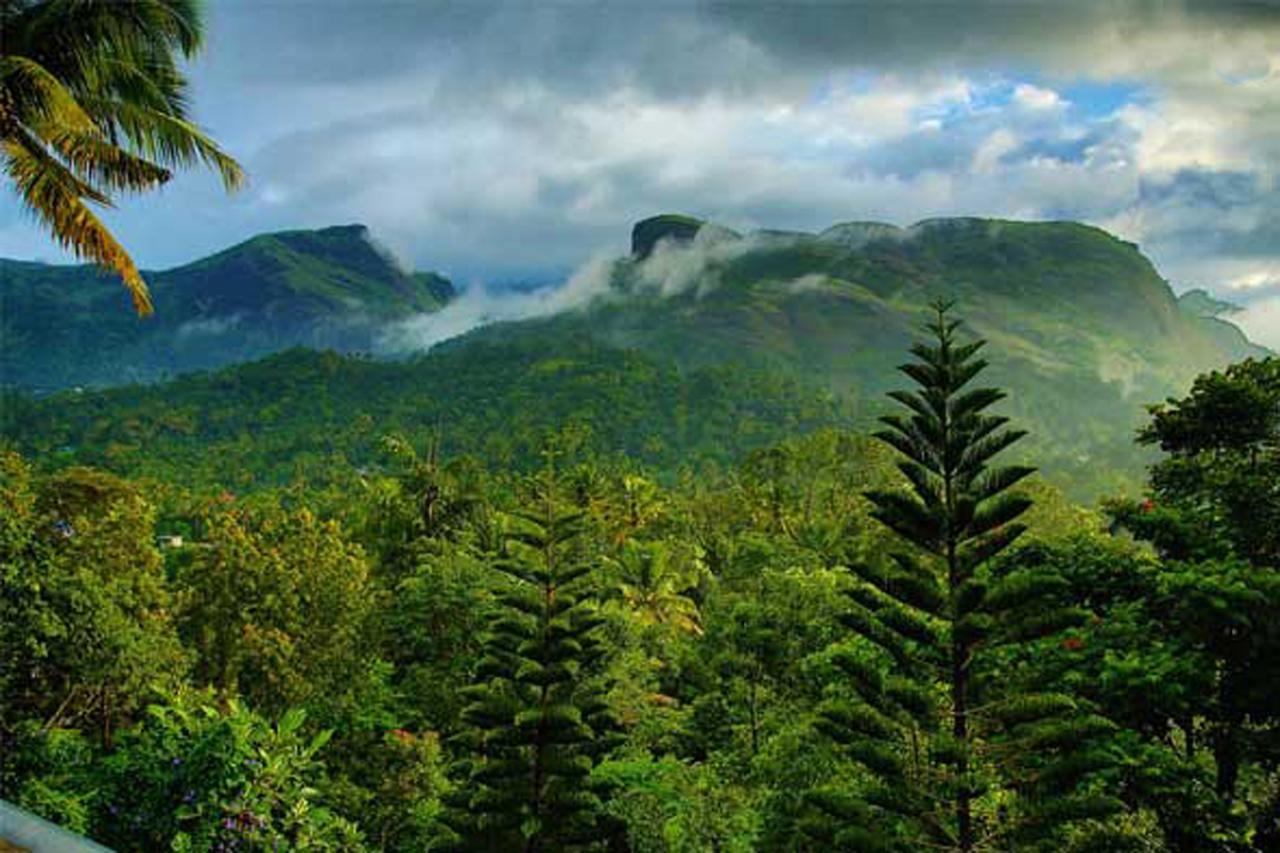 Sceva'S Garden Home Munnar Zewnętrze zdjęcie